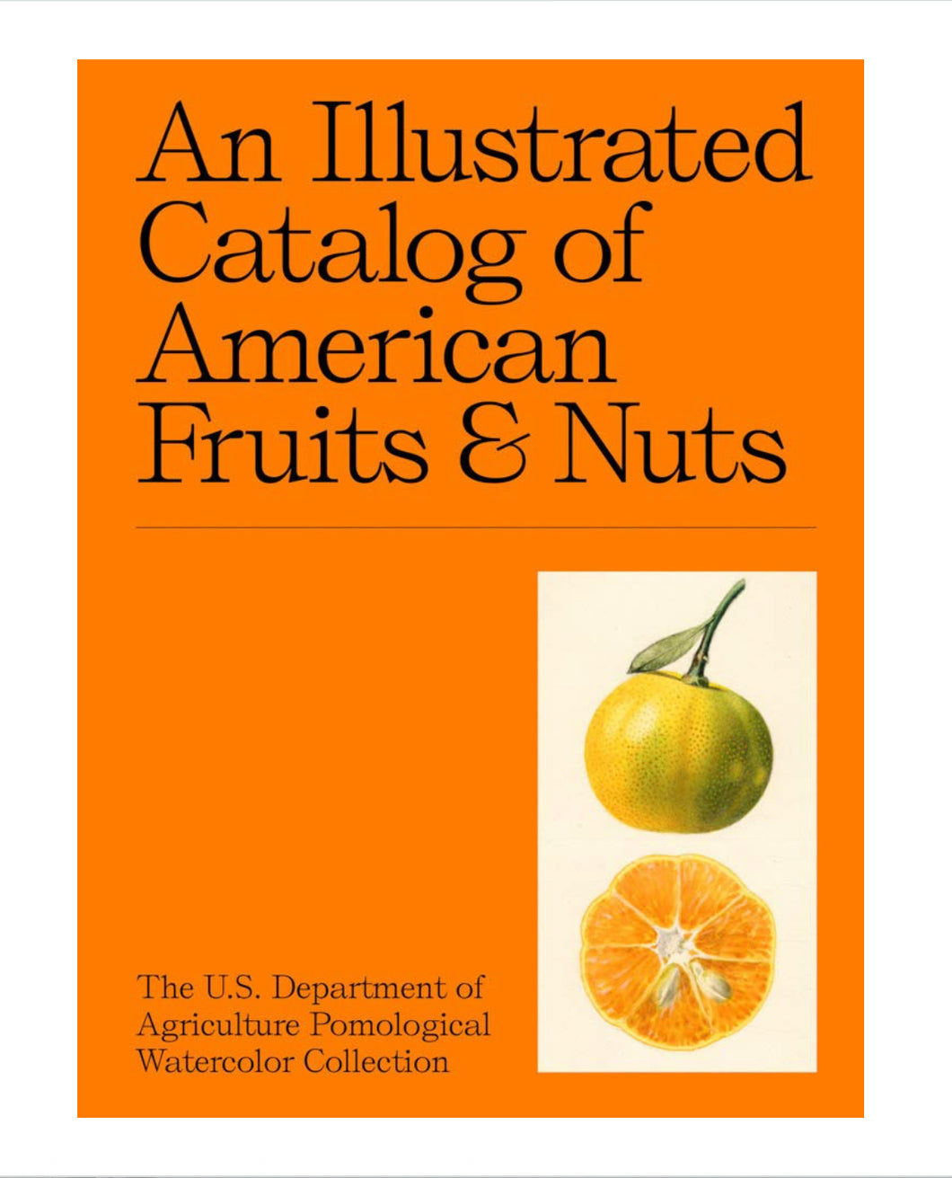 An Illustrated Catalog of American Fruits and Nuts